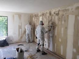 Mold Documentation for Insurance Claims in Pigeon Forge, TN